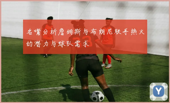 名嘴分析詹姆斯与布朗尼联手热火的潜力与球队需求