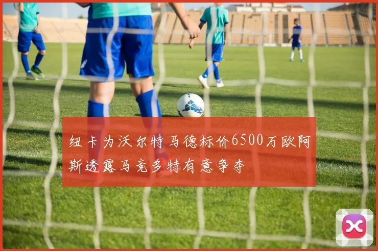纽卡为沃尔特马德标价6500万欧阿斯透露马竞多特有意争夺